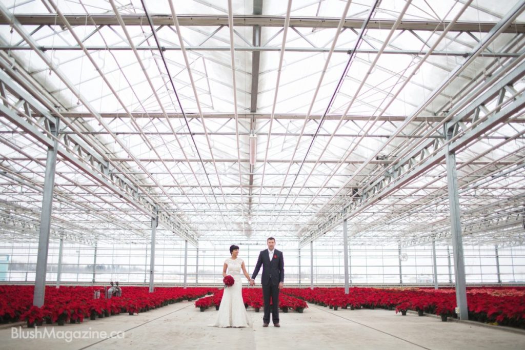 Blush's Venue of the Year 2015: The Enjoy Centre