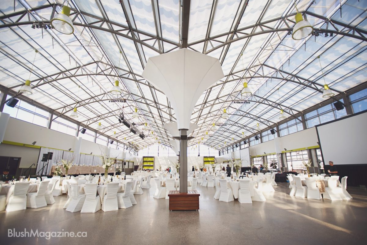 Blush's Venue of the Year 2015: The Enjoy Centre