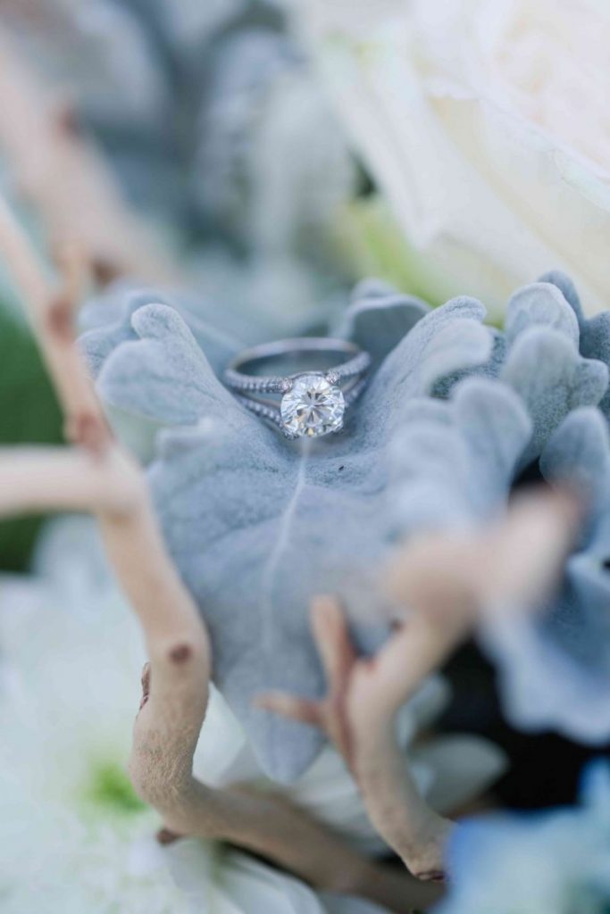 Winter Elegance: Something Cold & Something Blue