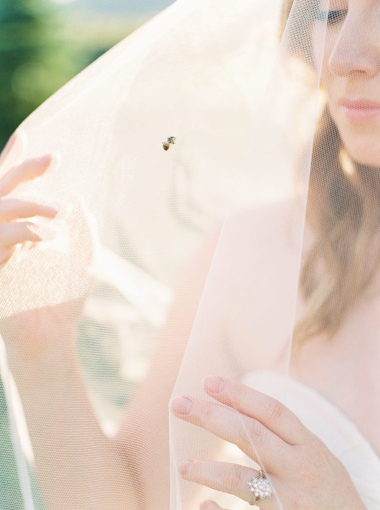 honey-bee-harvest-colourful-sanctuary-gardens-wedding-42-min