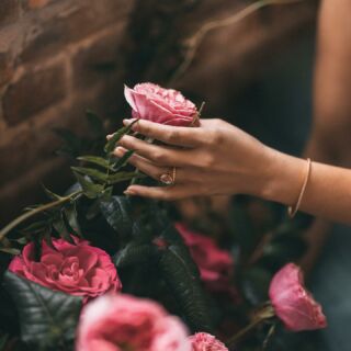 NEW VENUE // Edmonton! Downtown has a stunning new venue called The Pendennis and you can check it out at their opening party on Saturday May 20, 2023 between 11am-4pm.

Along with touring a beautiful historic building designed for weddings and events, you will meet amazing wedding and event vendors while enjoying food and drinks! 

Visit @thependennisweddingsandevents to RSVP. 

Photography @nicoleashley 
Hair/Makeup @behindtheblush
Design/Styling @fabloomosity
Models @makirahreid 
Location @thependennisweddingsandevents
Wedding Dresses @mywony_atelier
Veil @inna_isar
Shoes @poppybarley
Jewelry @soprettycaracotter
Vow books @jarsofclaycalligraphy
Behind the scenes and details: @ianine.rose
Video @ericshio 

#yeg #yegevents #yegwedding #yegweddings #yegdowntown.